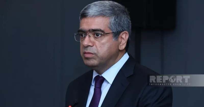 Анар Алиев: В Азербайджане функционирует расширенная система страховых пенсий