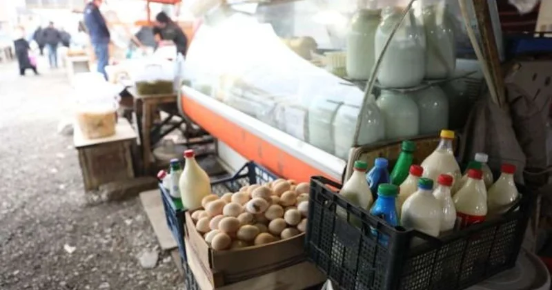 Bazarda antisanitar vəziyyət Diri və ölü balıqlar eyni vannalarda saxlanılır