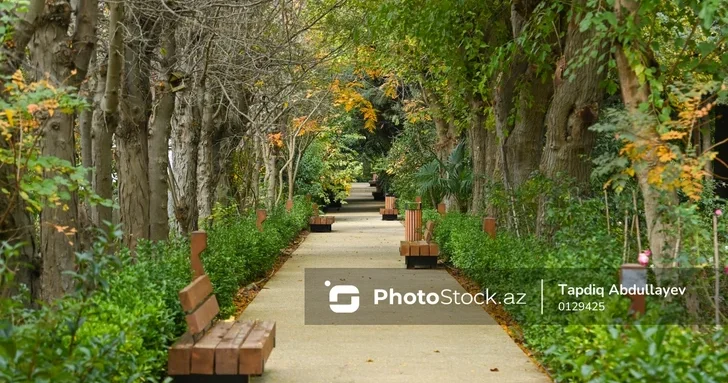 В Баку появится новый парк с амфитеатром и зонами активного отдыха