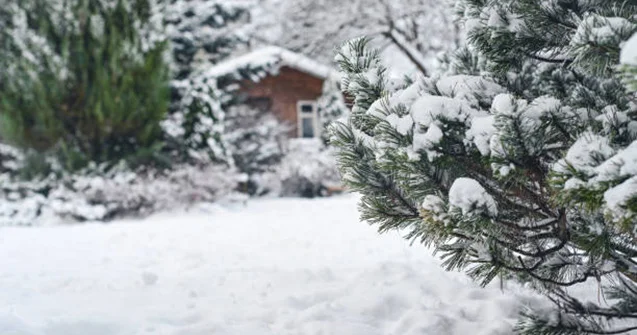 Bu ərazilərə qar yağır Faktiki hava