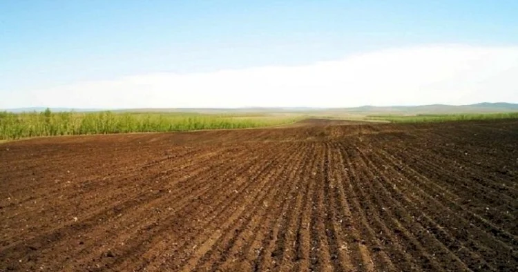 İcra başçısının müavininə məxsus torpaq sahəsi satışa çıxarıldı