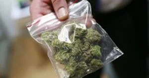 Kələm yükündən narkotik aşkarlanıb FOTOLAR