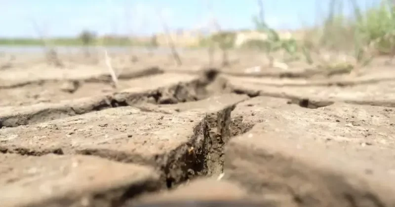 Жителей некоторых регионов Казахстана ждет засуха?