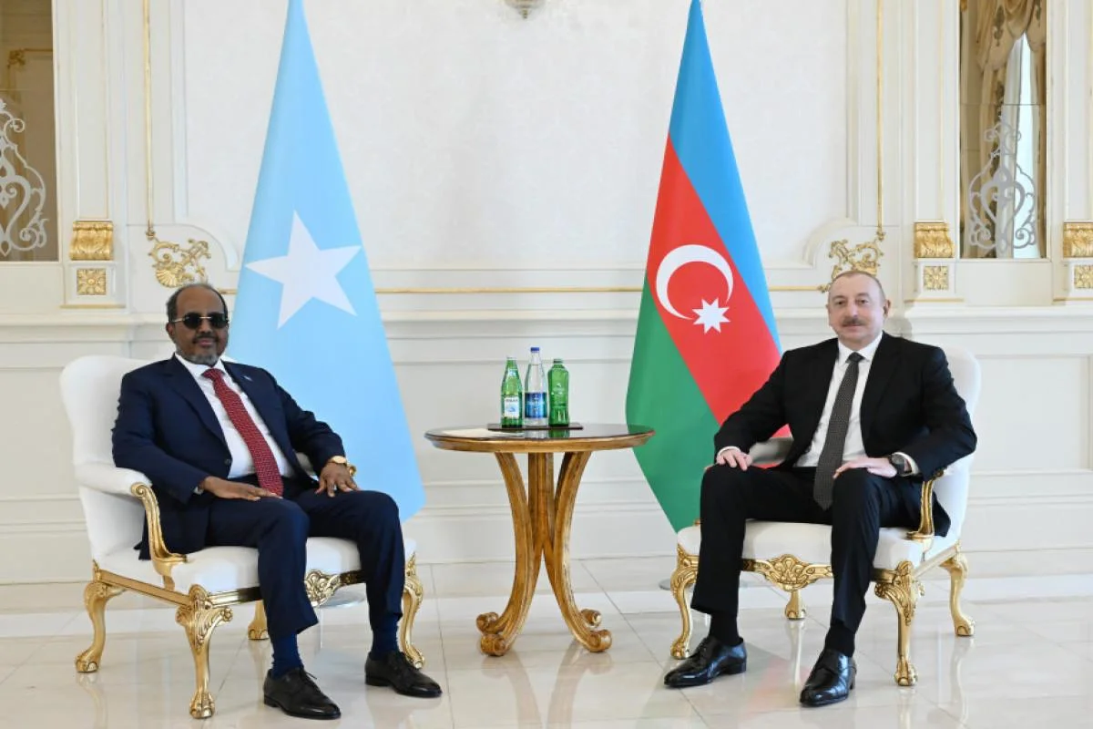 Somali özünə qarşı maraq və diqqət çəkən dövlətdir RƏY