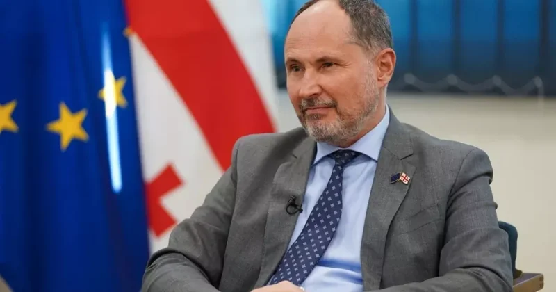 Посол Евросоюза передал МИД Грузии опасения Брюсселя