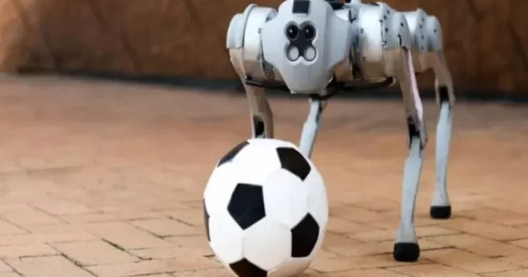2026 cı il Dünya Kubokunda bir ilk Robot itlərdən istifadə olunacaq