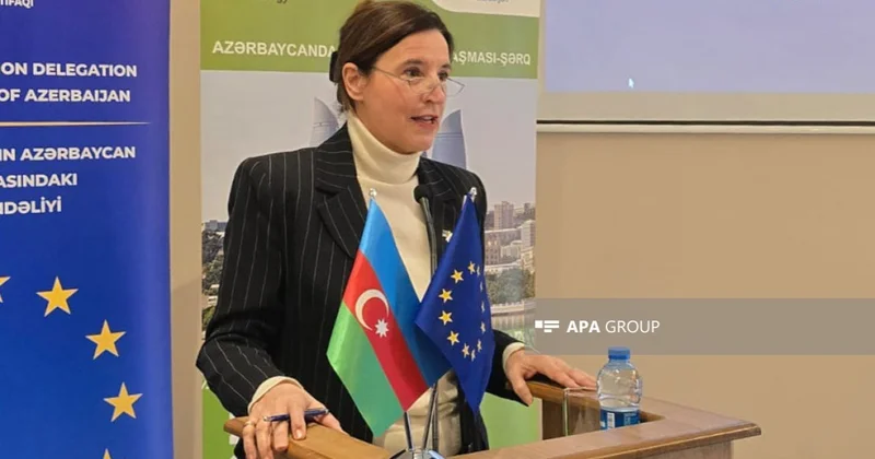 Avropa İttifaqı: Bakıda avtomobillər artır, mütləq tədbirlər görülməlidir