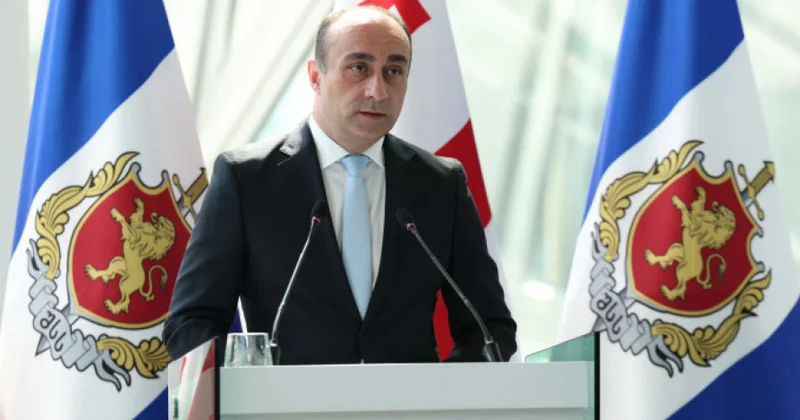 Bu il 4 minə yaxın qanunsuz miqrantın Gürcüstandan çıxarılması planlaşdırılıb