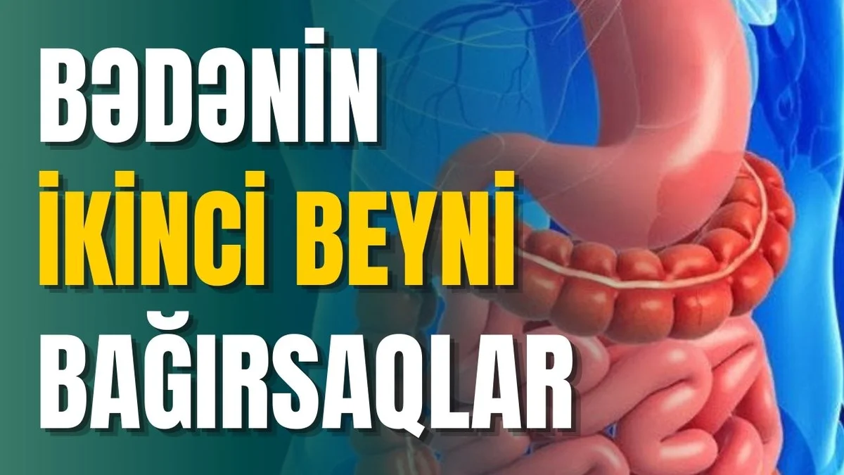 Bağırsaq xəstəlikləri hansılardır, əlamətləri nələrdir?