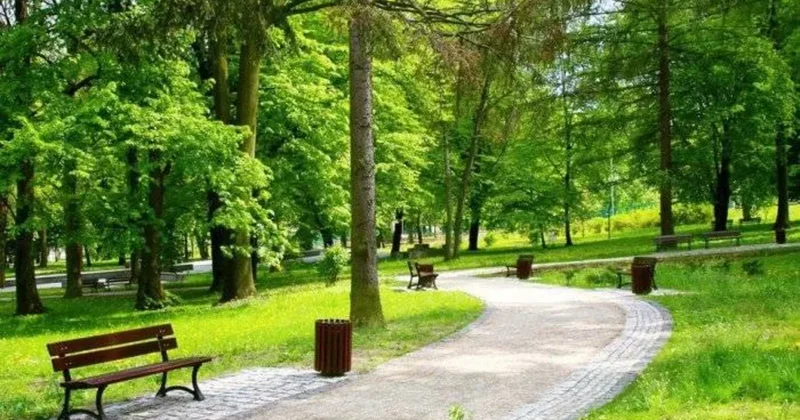 В Азербайджане создается национальный парк площадью 90 тысяч гектаров