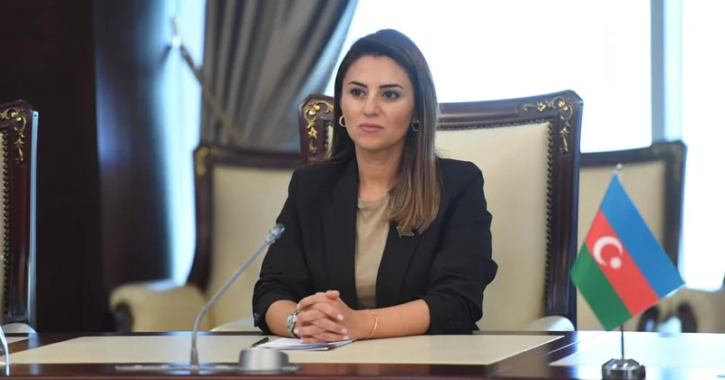 Azərbaycan regional sabitliyin möhkəmlənməsinə və beynəlxalq əməkdaşlığın inkişafına töhfə verən aktordur Sevinc Fətəliyeva