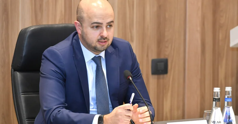 Спецпредставитель: Предлагаем проводить экспертизу зеленых насаждений при выделении земельных участков