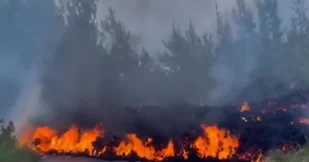 Лавовые потоки дошли до шоссе на Реюньоне ВИДЕО