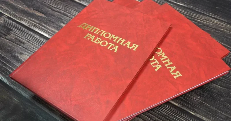 В Кыргызстане заменят дипломную работу стажировкой? Видео