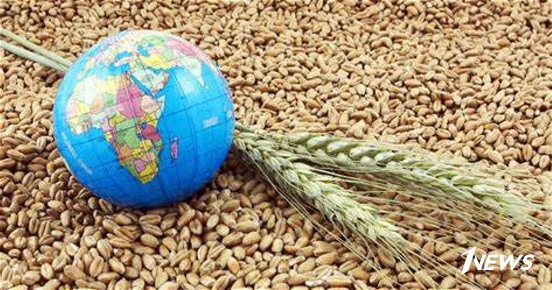 ООН: Кризис в Ормузском проливе может перерасти в агропродовольственную катастрофу