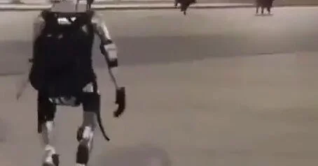 В Польше робот погнался за дикими кабанами ВИДЕО