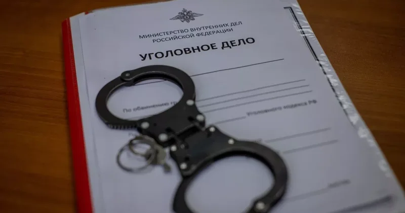 В России завели уголовное дело на журналистку