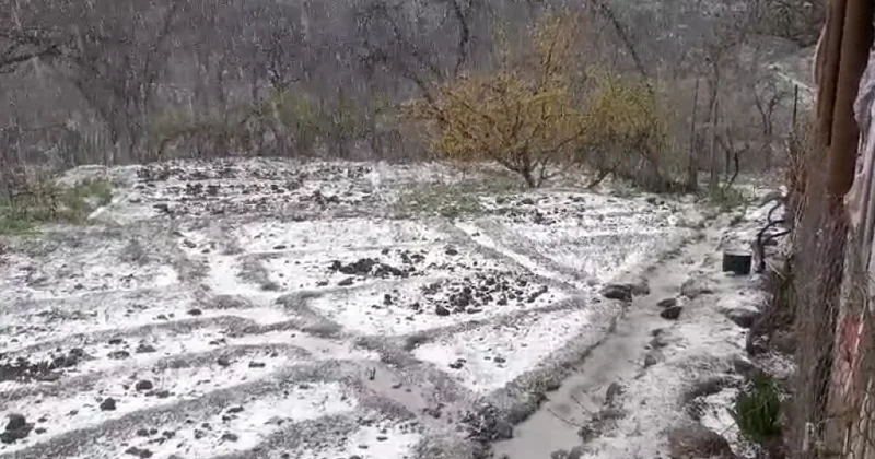Şahbuz və Ordubada qar yağır