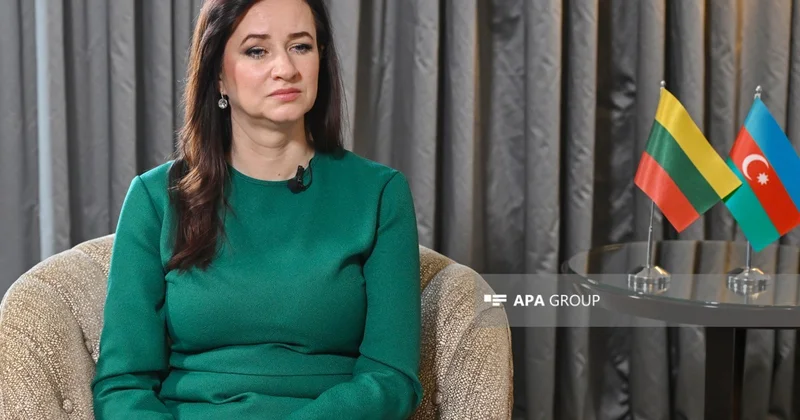 Премьер Литвы указала на ключевую роль Азербайджана в энергетике ЕС