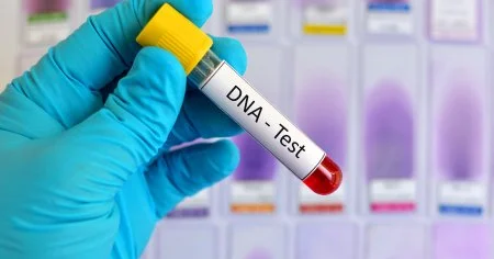 Genetik məlumatlar üçüncü tərəfə ötürülərsə nə baş verir? ARAŞDIRMA