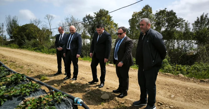 Lənkəranda çiyələk və kartof istehsalçıları ilə ixracatçılarına qaydalar izah olunub