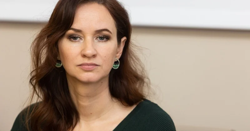 Литва призвала ЕС усилить экономическое сотрудничество с Азербайджаном