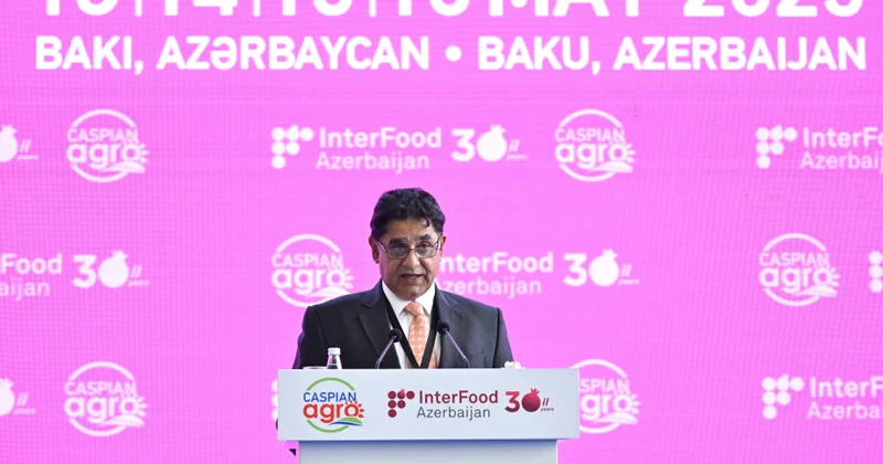 FAO: Azərbaycan hökuməti ilə tərəfdaşlığımız inkişaf etməkdə davam edir