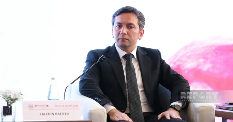 Ялчин Рафиев: К 2035 году планируется довести климатическое финансирование до $1,3 трлн