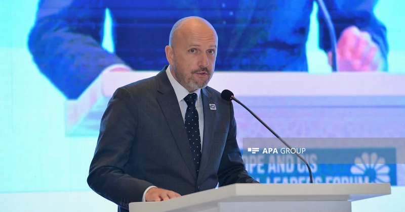 ÜPİ: Rəqəmsal dövrə beynəlxalq əməkdaşlıqla keçid edilə bilər
