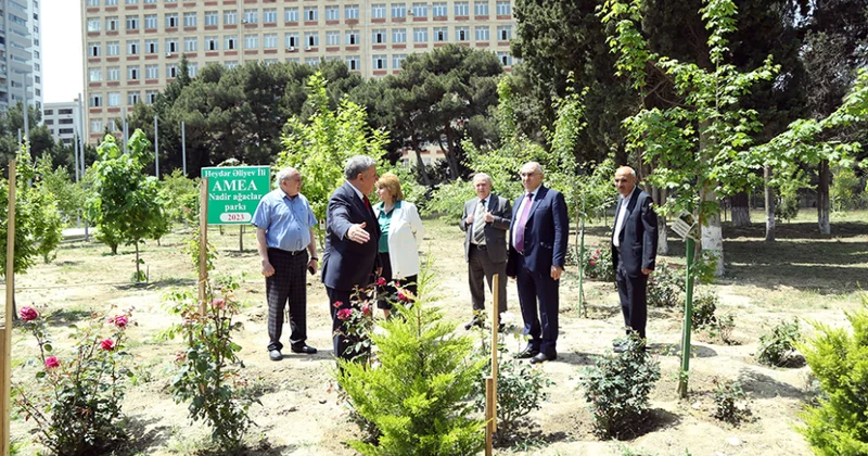 AMEA nın Nadir ağaclar parkı gələcəkdə elmi təcrübi baza rolunu oynayacaq