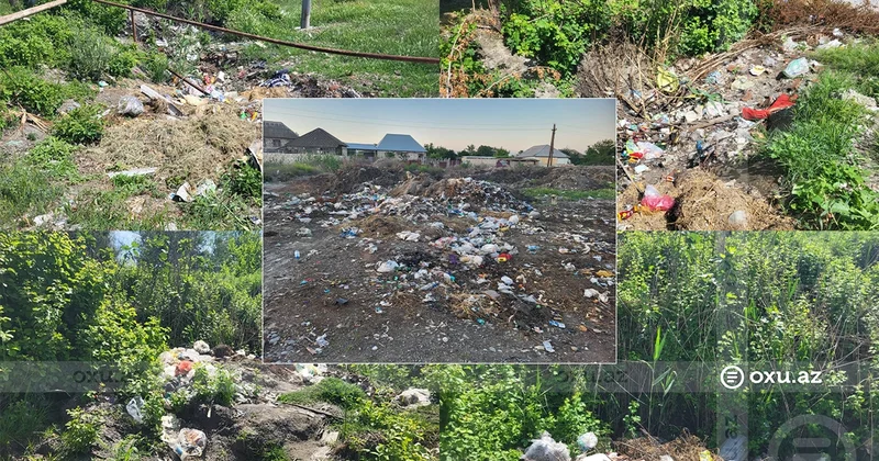 Ağdaşın ekoloji problemi: Zibillənən küçələr niyə təmizlənmir?