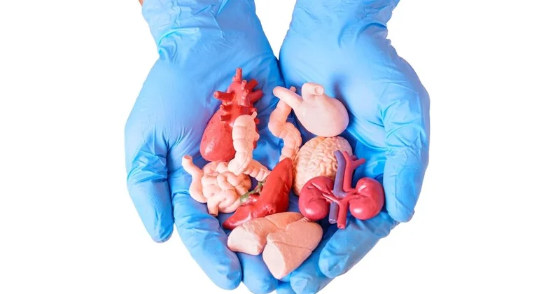 Uğurla transplantasiya olunan 9 orqan
