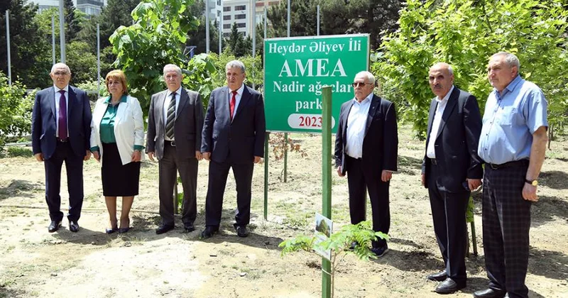 AMEA da təmizlik və yaşıllaşdırma günləri