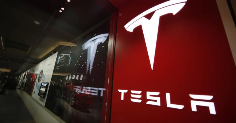 “Tesla” Çindəki bazar payını itirməyə davam edir