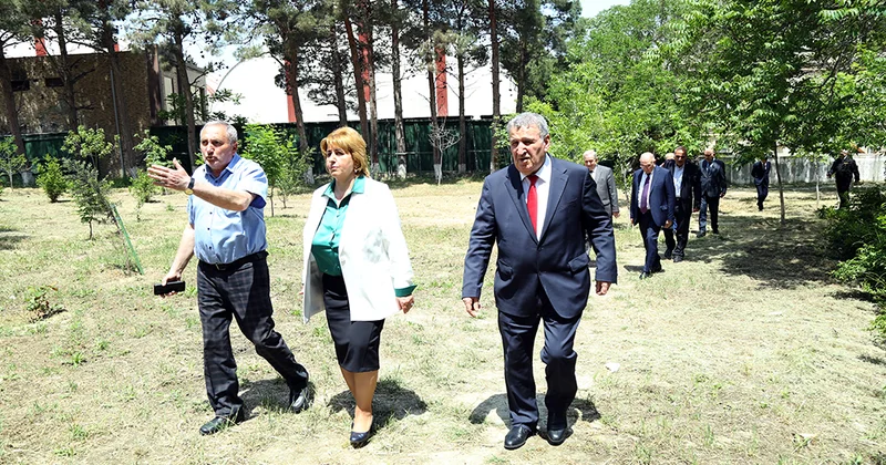 AMEA da təmizlik və yaşıllaşdırma günləri davam edir
