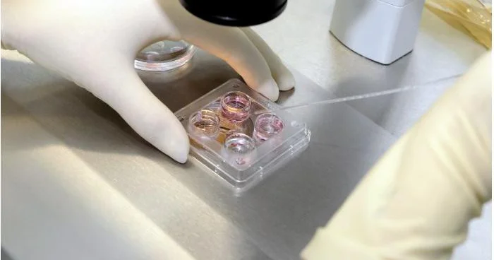 Qanunsuz süni mayalanma və tibbi sterilizasiyaya görə cəzalar sərtləşdirilir
