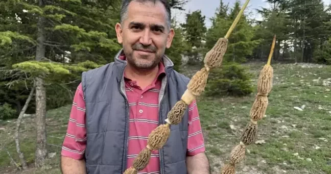 Kilosu 40 manata satılır Bütün kənd bura axın edir