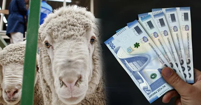 Qurban bayramında bu ailələrə maddi yardım veriləcək? KONKRET