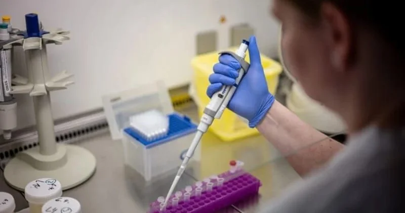 Hantavirus üçün təsdiqlənmiş müalicə və ya peyvənd yoxdur