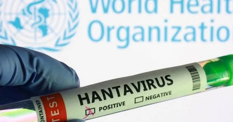 Хантавирус у границ мира: должен ли Азербайджан опасаться новой угрозы? КОММЕНТАРИЙ ВРАЧА