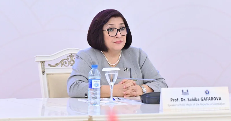 Азербайджано словацкие отношения поднялись до уровня стратегического партнерства Сахиба Гафарова