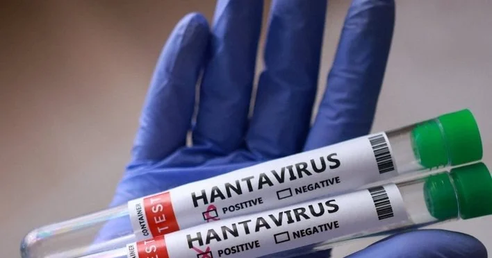 Hantavirusun hansı heyvandan keçdiyi BİLİNDİ Bu ölkələrdə olur FOTO