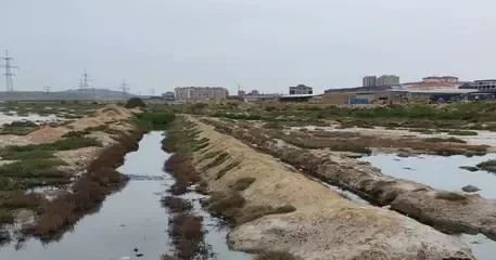 На Масазырском шоссе сточные воды сливают в соленое озеро