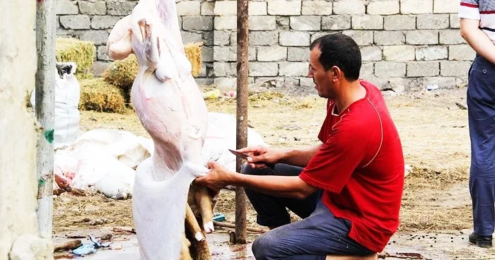 Qurban əti ilə bağlı xəbərdarlıq: Soyuducuya dərhal qoymaq təhlükəlidir