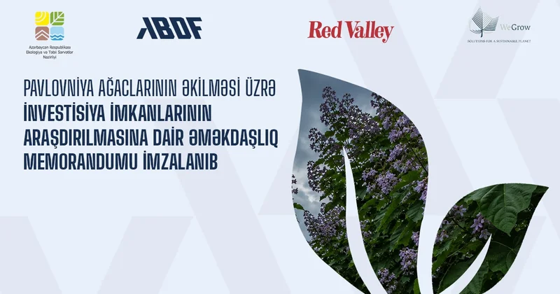 Azərbaycanda pavlovniya ağaclarının əkilməsi üzrə investisiya imkanlarının araşdırılmasına dair əməkdaşlıq memorandumu imzalanıb