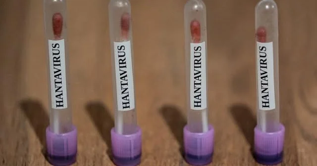 Hantavirus yayılır: Ölkələrdə hazırlıq başladı