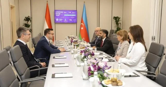SOCAR MOL Group ilə enerji təhlükəsizliyi və əlavə əməkdaşlığı müzakirə edib