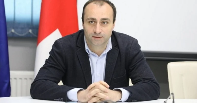 Gürcüstanın daxili işlər naziri Azərbaycana gəlib