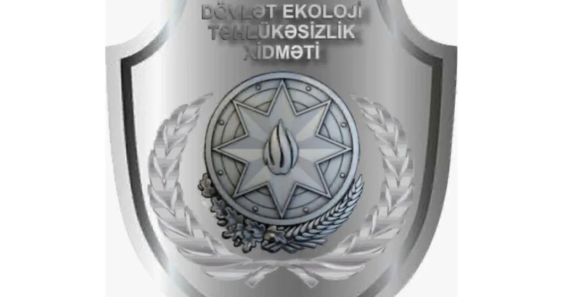 Sumqayıt və Bərdədə yaşıllıqların qanunsuz kəsilməsi faktları aşkarlanıb