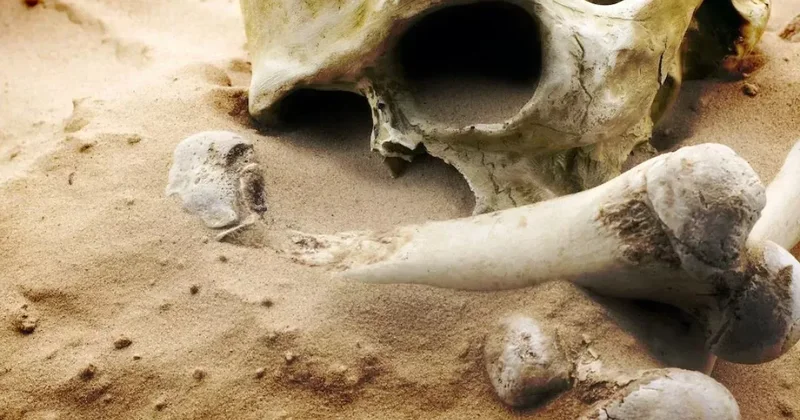 В Агдаме обнаружены кости, похожие на скелет человека ОФИЦИАЛЬНО